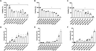 Damaging effects of UVA, blue light, and infrared radiation: in vitro assessment on a reconstructed full-thickness human skin